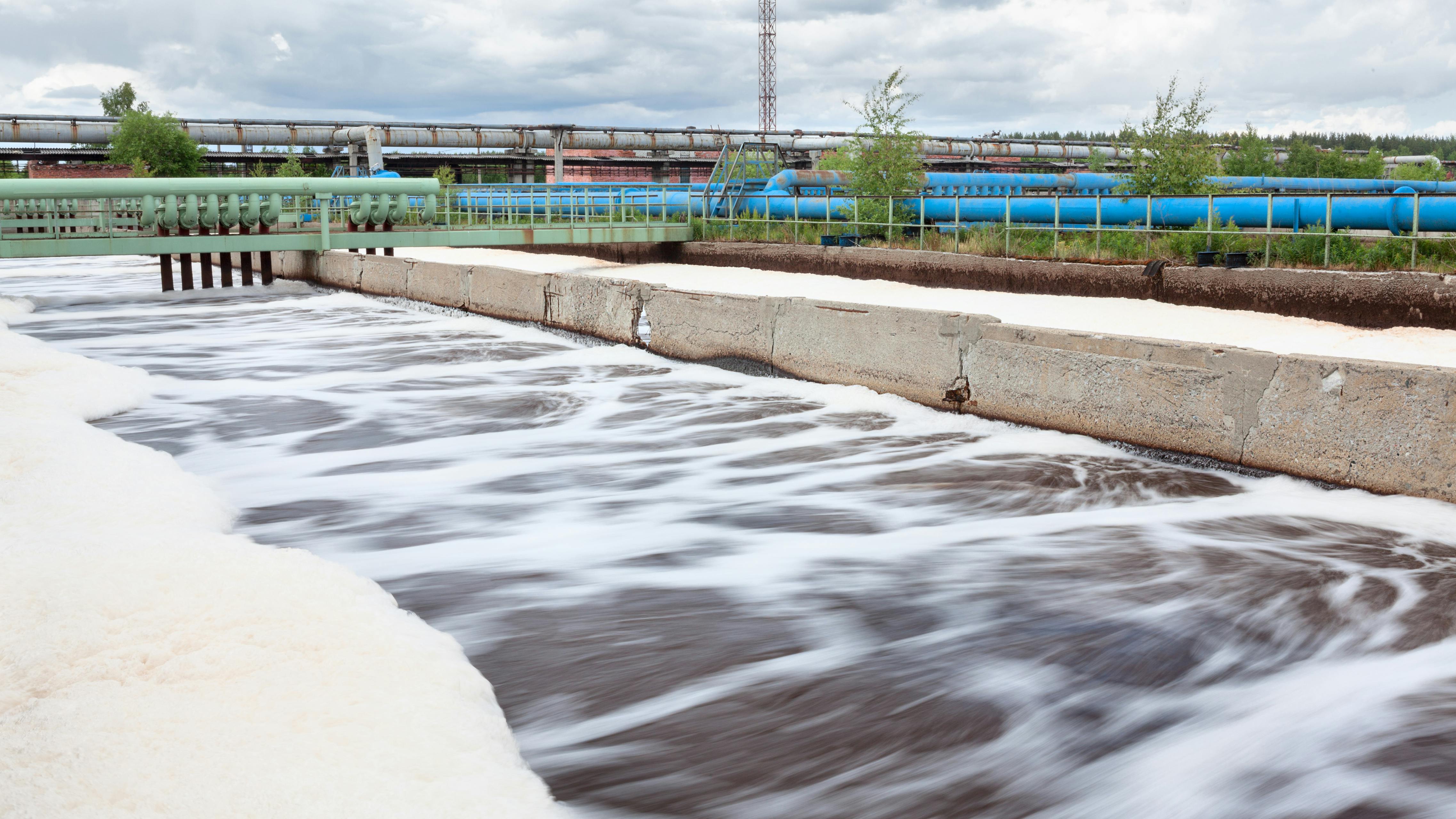 65afd6b74c71ac001ea1bbf1 Dreamstime Xxl 34553842