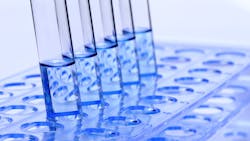 65b11dc01f8c34001e505ef1 Dreamstime Xxl 97517318 65b11dc01f8c34001e505ef1 Dreamstime Xxl 97517318