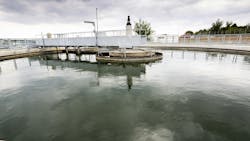 65b3c781b82730001e152be8 Dreamstime Xxl 76657052 2 65b3c781b82730001e152be8 Dreamstime Xxl 76657052 2