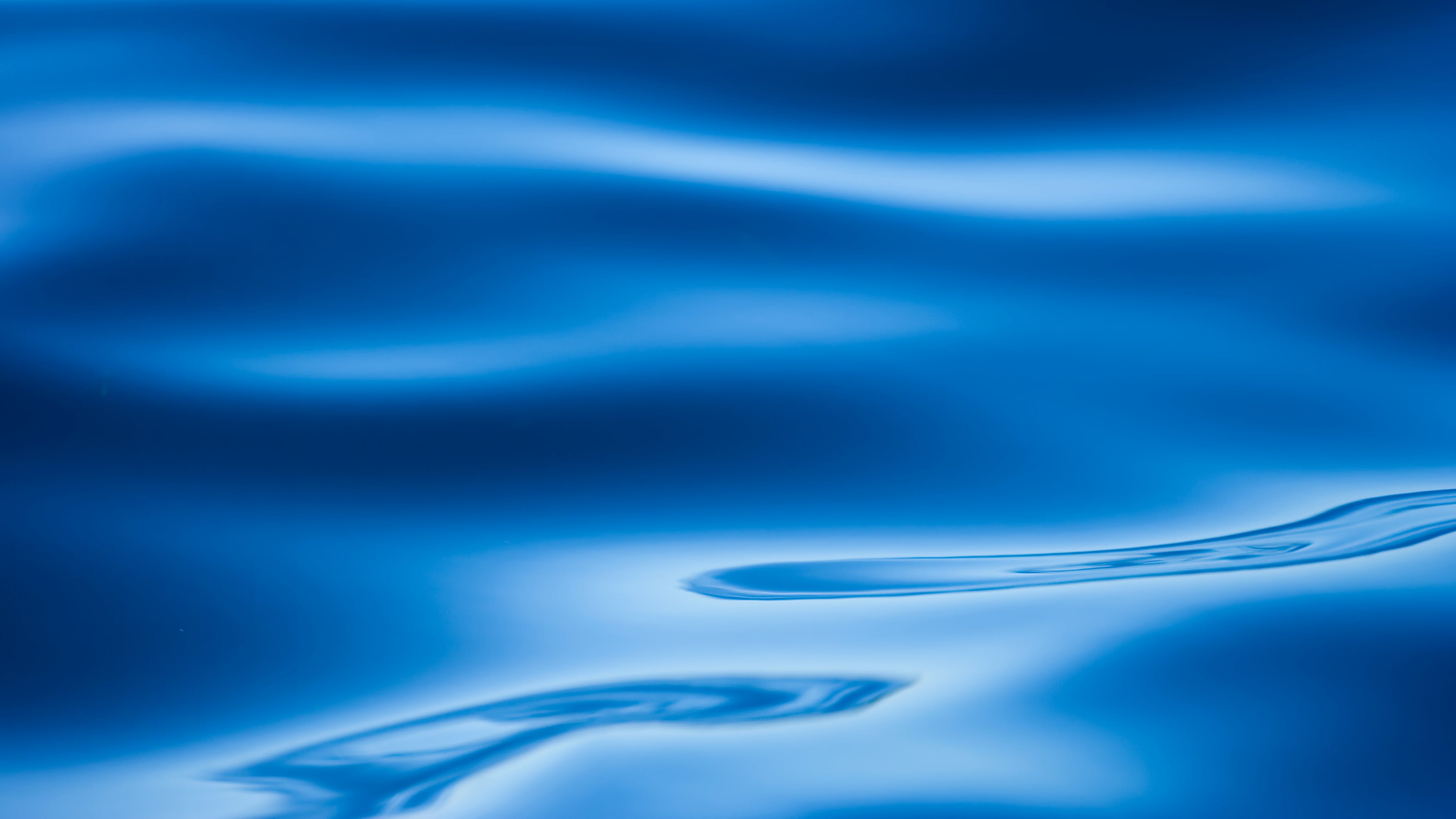 65b7bf376cb337001e774eb1 Dreamstime Xxl 1747533
