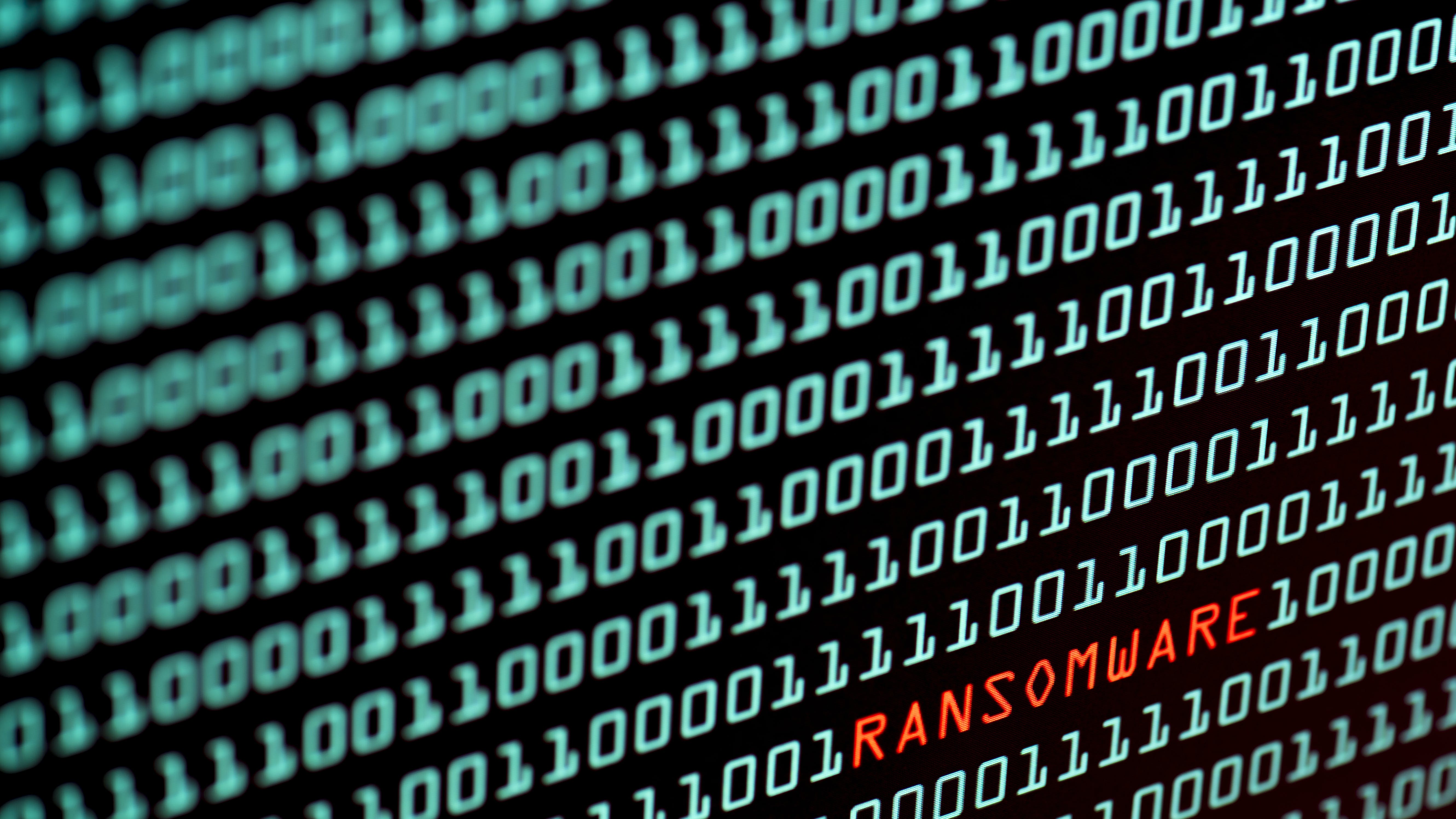 65b7d9c0bcb6e2001ffd0fcc Dreamstime Xxl 132877885