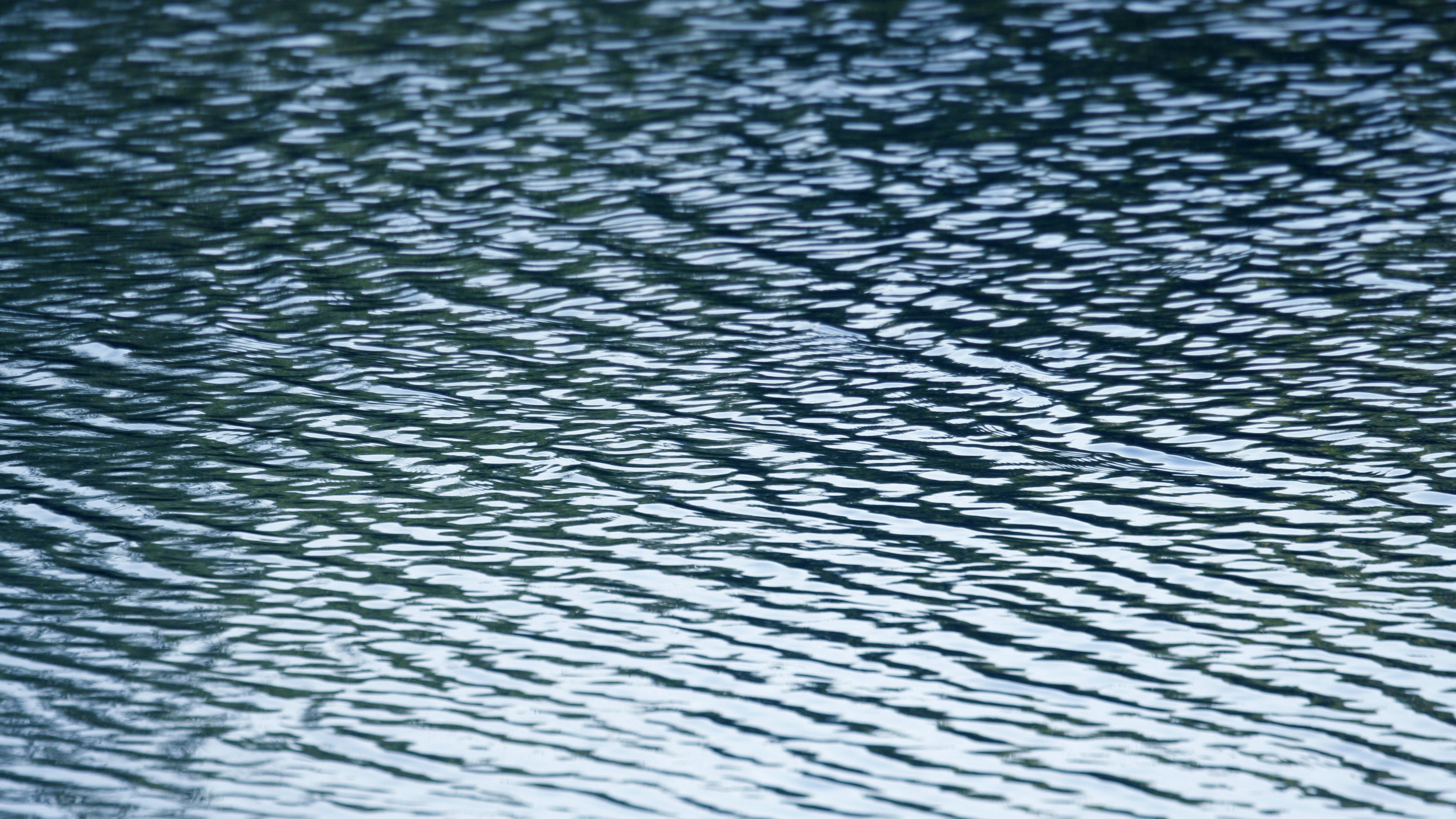 dreamstime_xxl_886075