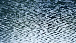 65c241e5283932001ecfcc44 Dreamstime Xxl 886075 65c241e5283932001ecfcc44 Dreamstime Xxl 886075