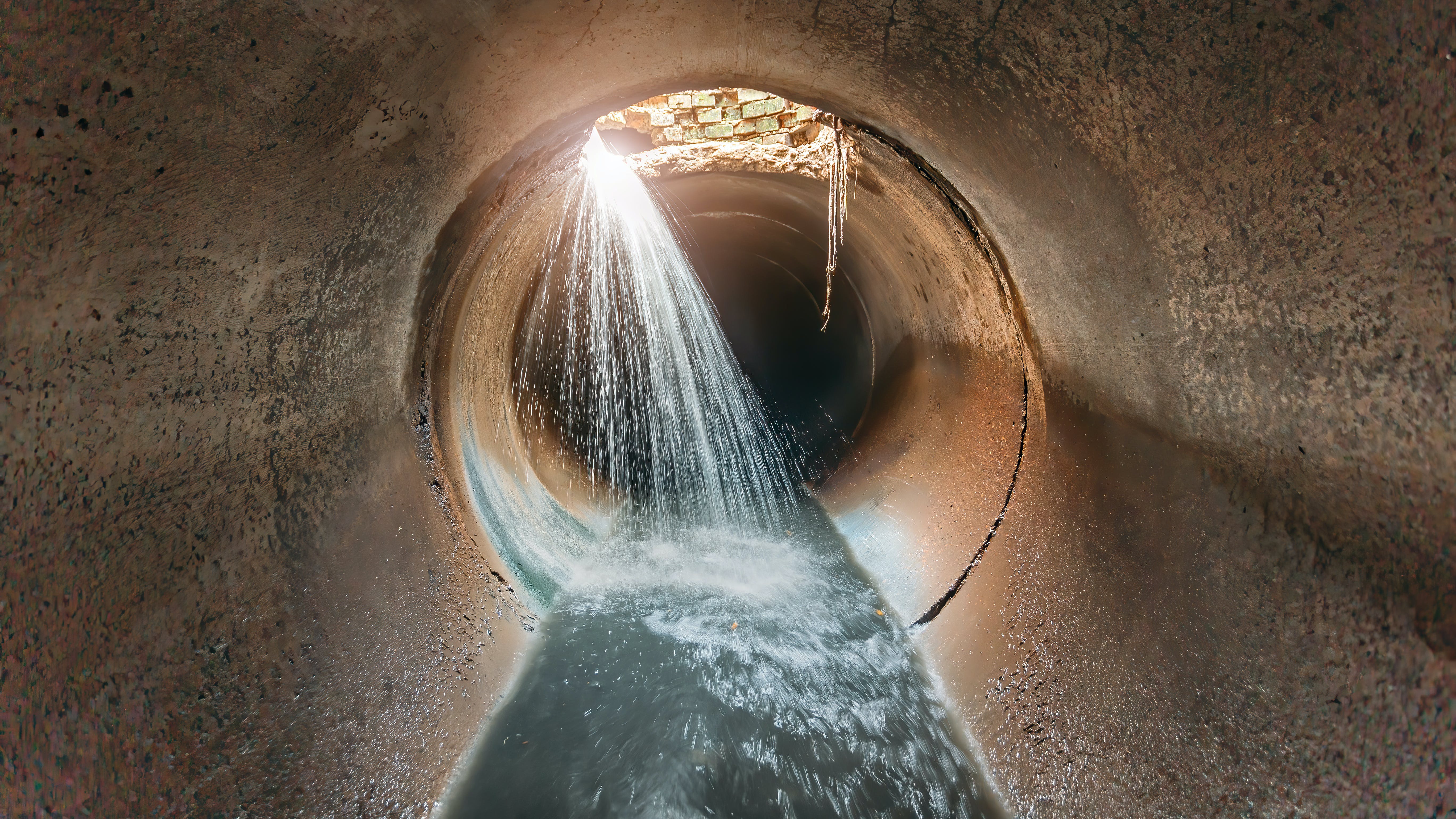 65c278ba7a8df3001d74828a Dreamstime Xxl 194856106