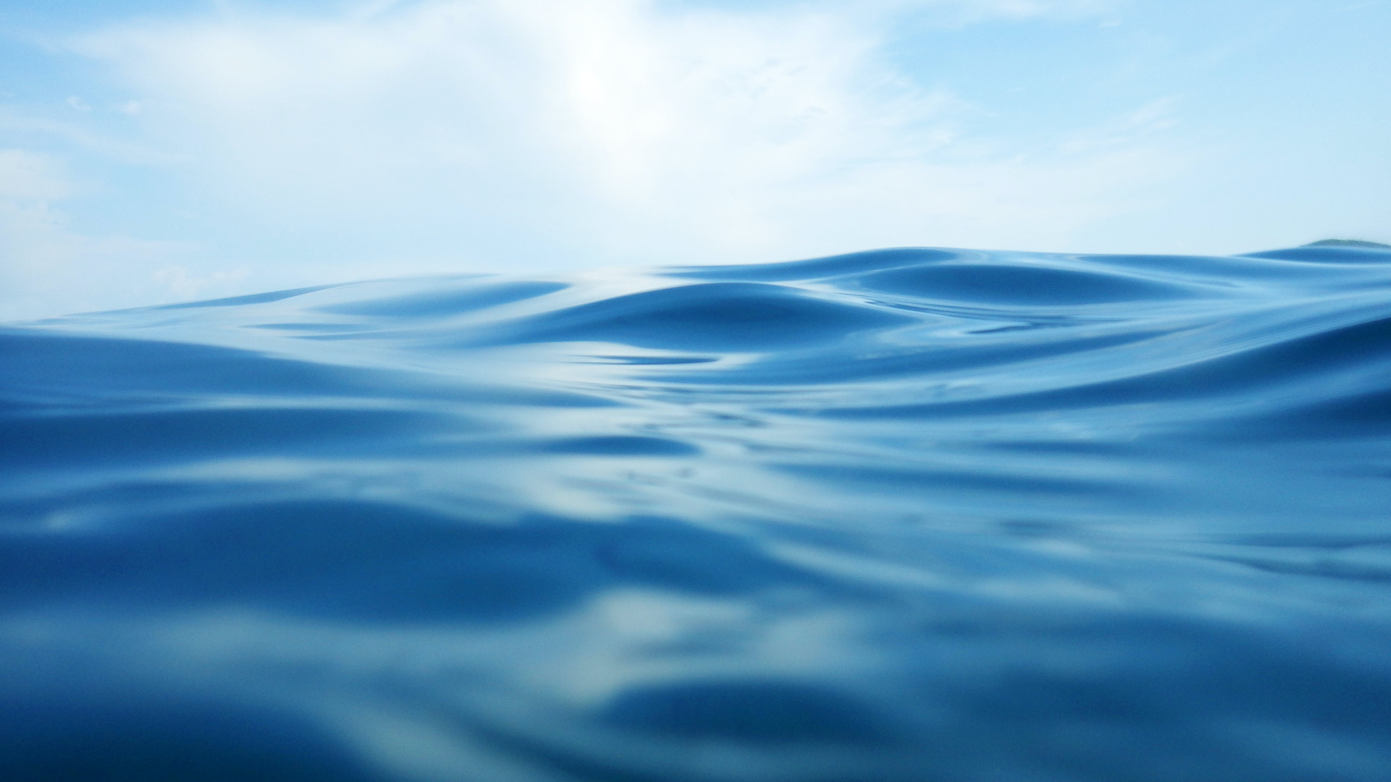 65ca30c7d80880001faf15d2 Dreamstime Xxl 44261920