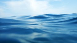 65ca30c7d80880001faf15d2 Dreamstime Xxl 44261920 65ca30c7d80880001faf15d2 Dreamstime Xxl 44261920