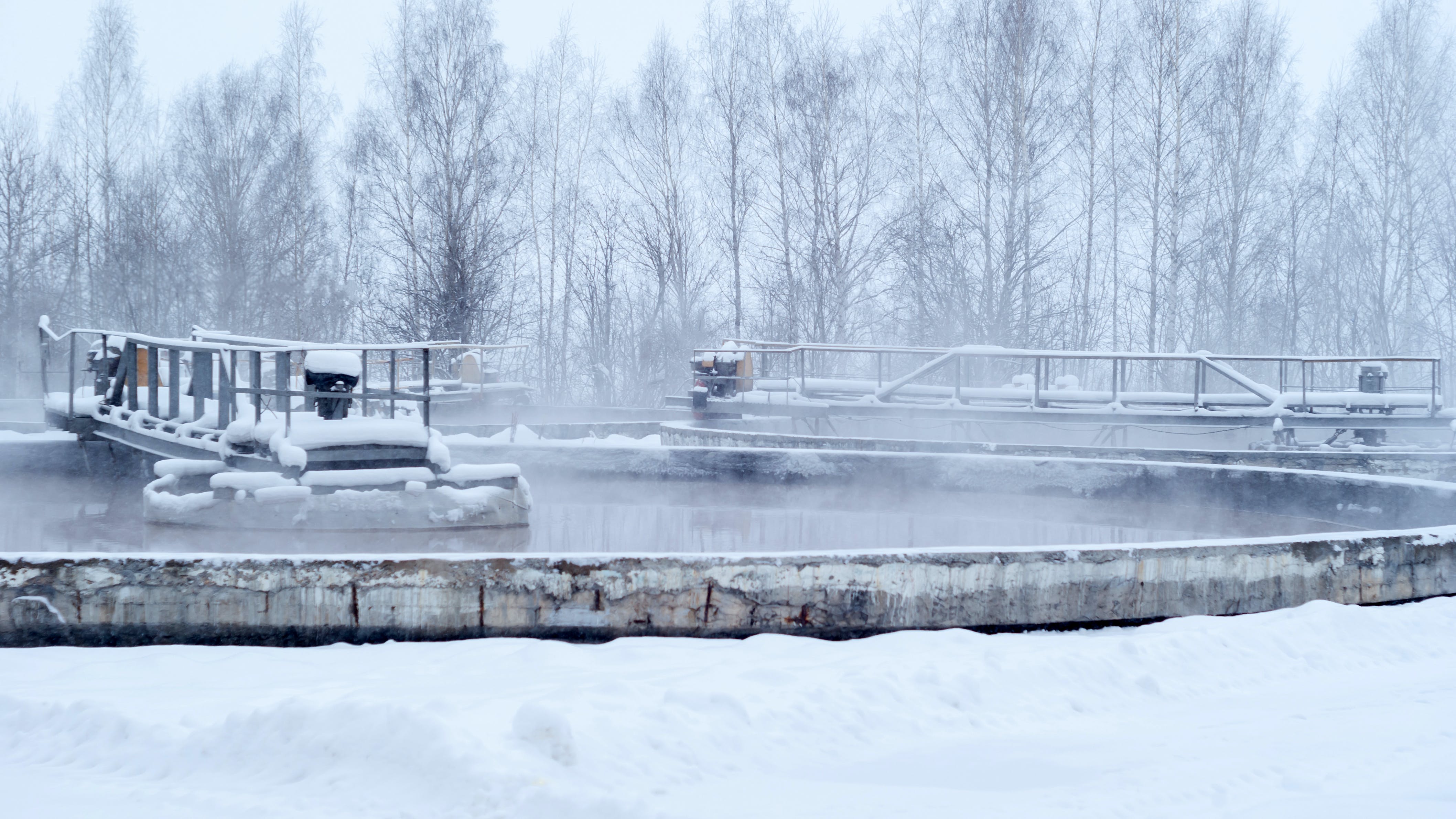 dreamstime_xxl_136075726