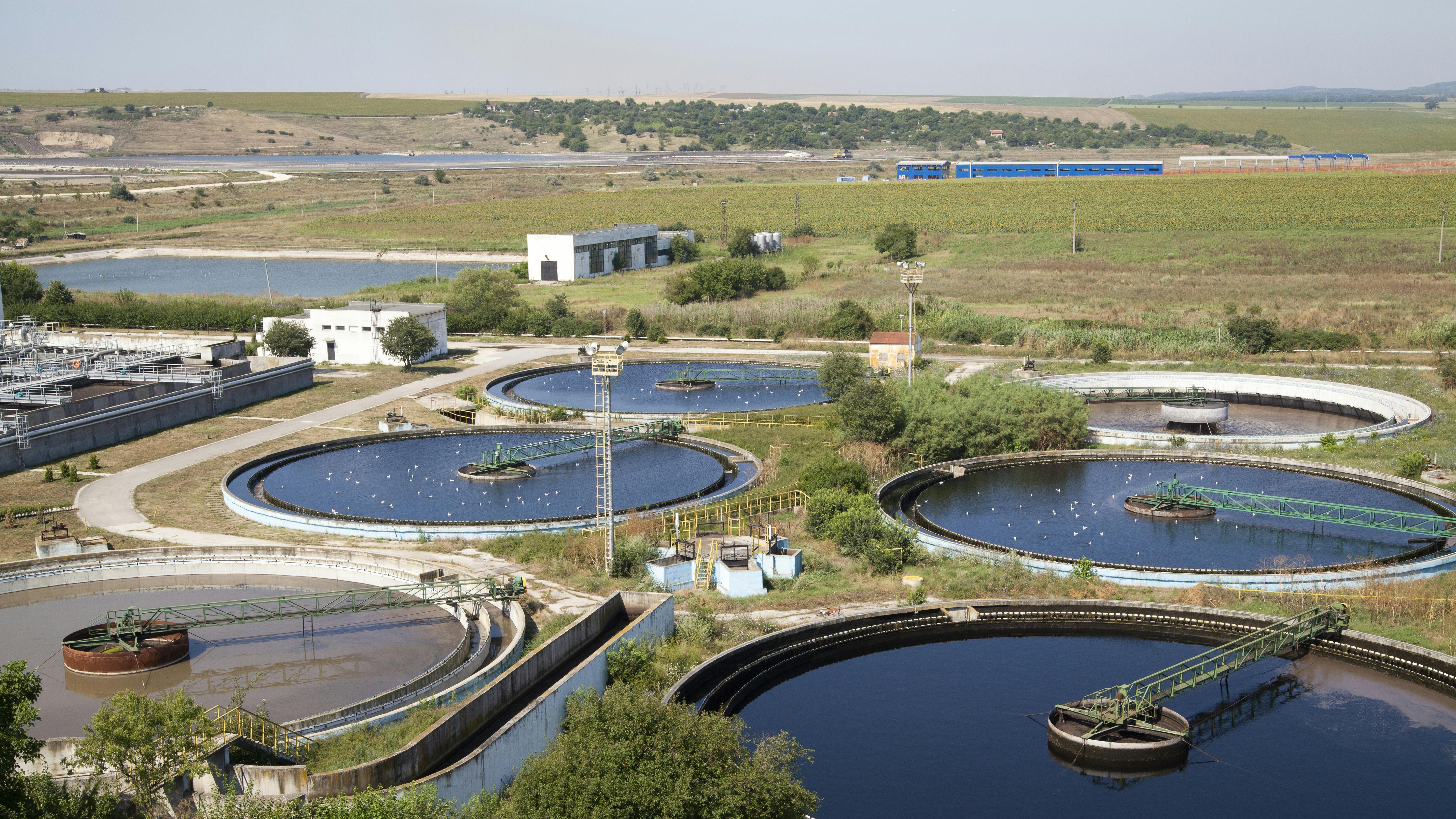 65d8b5b8169fbe001e329d5e Dreamstime Xxl 36199127