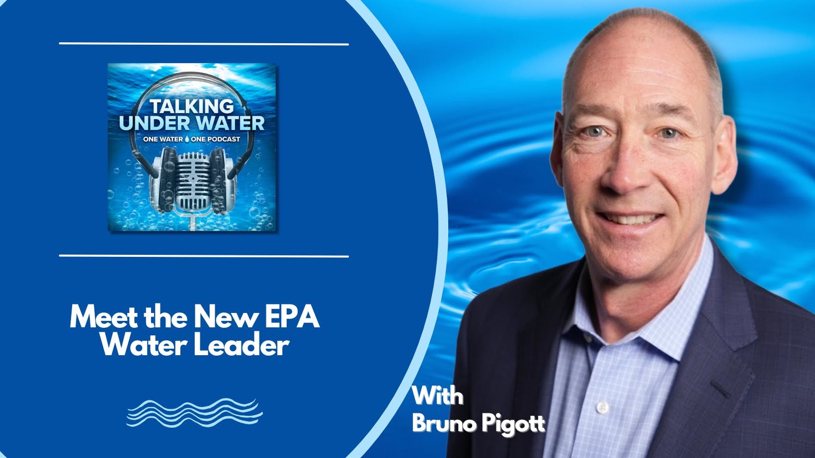 660ef4a8edc555001e097046 Brunopigott