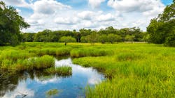 66155a624a99fd001e2ed9da Dreamstime Xxl 75867714 66155a624a99fd001e2ed9da Dreamstime Xxl 75867714