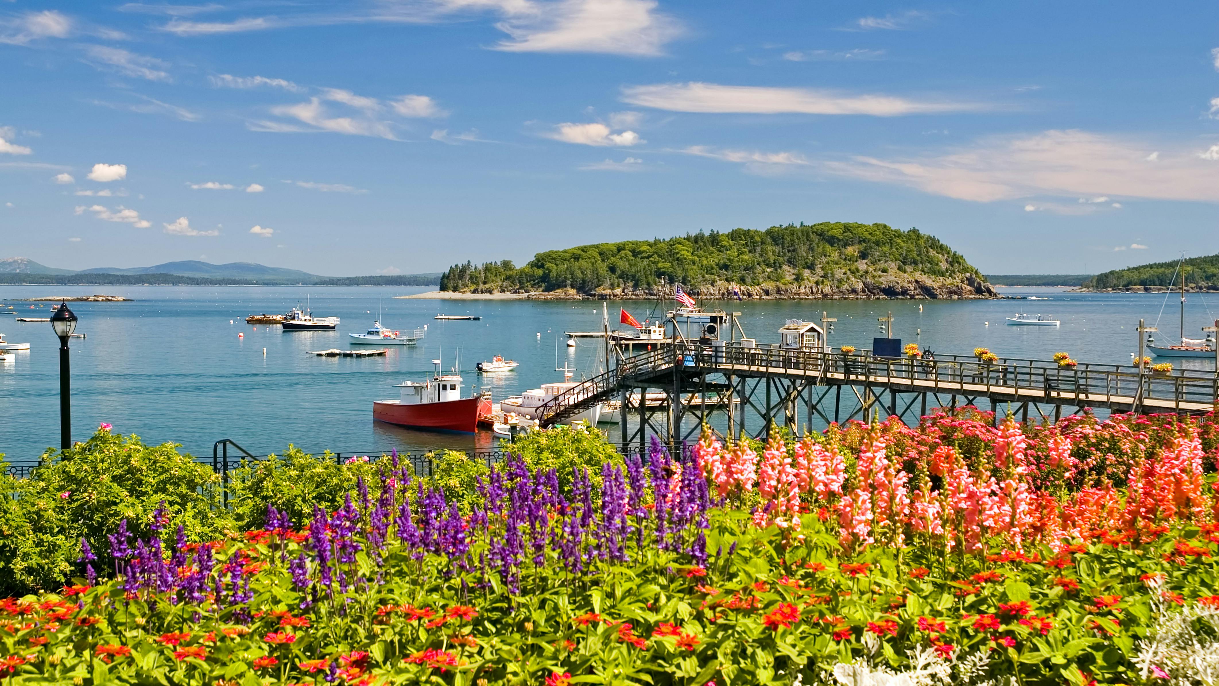 dreamstime_xxl_3137274