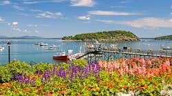 dreamstime_xxl_3137274 dreamstime_xxl_3137274