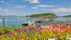 6633eca8eeb2d50008e70325 Dreamstime Xxl 3137274 6633eca8eeb2d50008e70325 Dreamstime Xxl 3137274