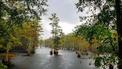 6682ed9cf537c90da4dbd27e Dreamstime Xxl 131979606 6682ed9cf537c90da4dbd27e Dreamstime Xxl 131979606