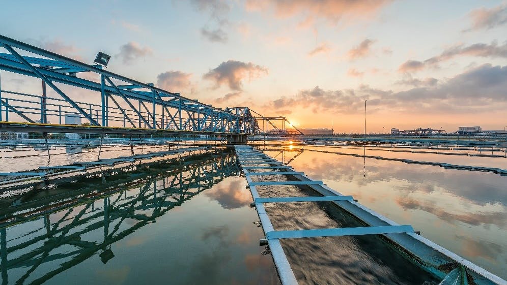 668bf9255c35e73994f05e7f Omi Theme Shot