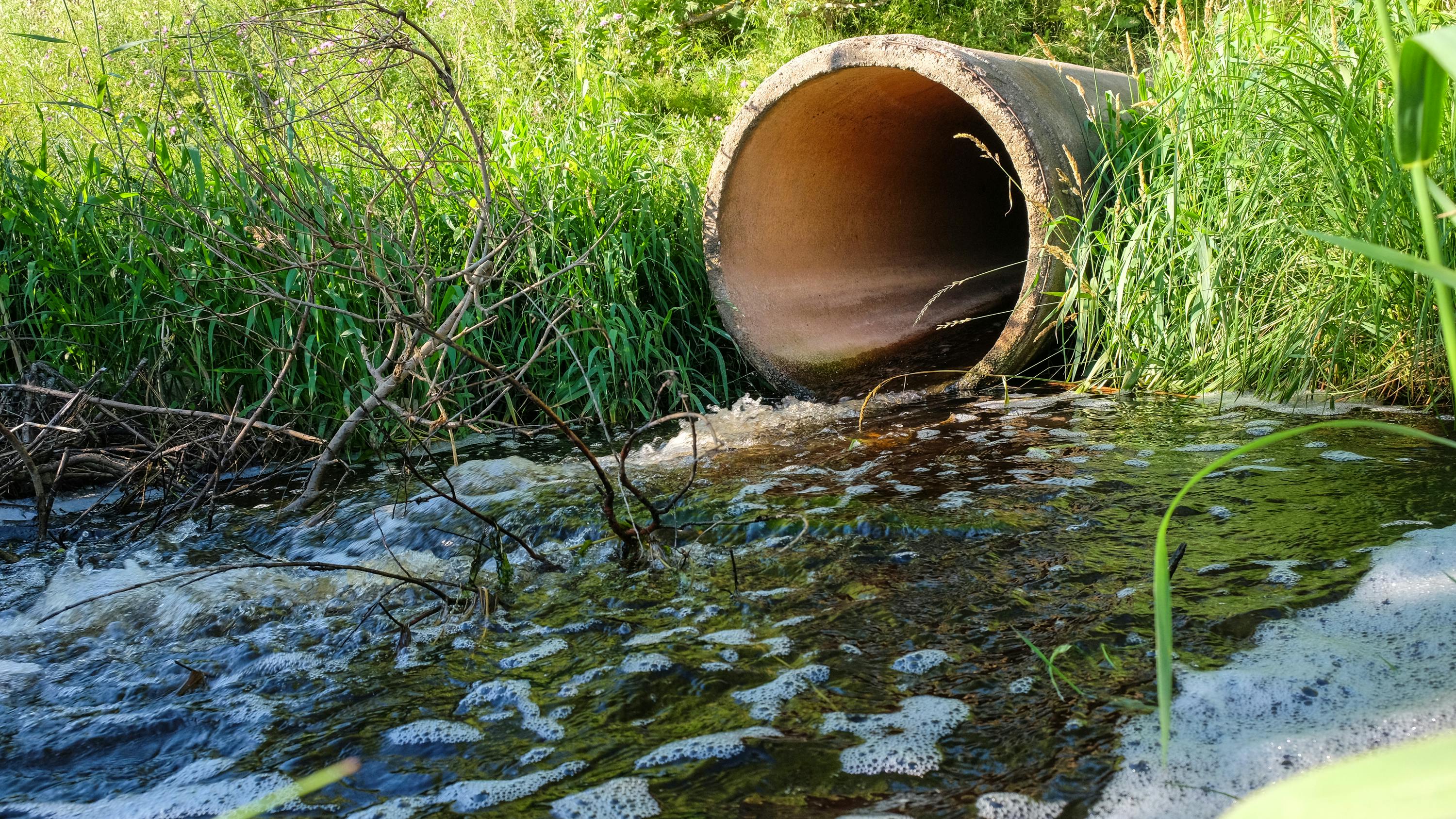 6696d3a87b3d469983cb9359 Dreamstime L 99702245