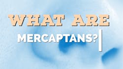 669987ce9d19047df2d115a1 What Are Mercaptans In Wastewater 669987ce9d19047df2d115a1 What Are Mercaptans In Wastewater