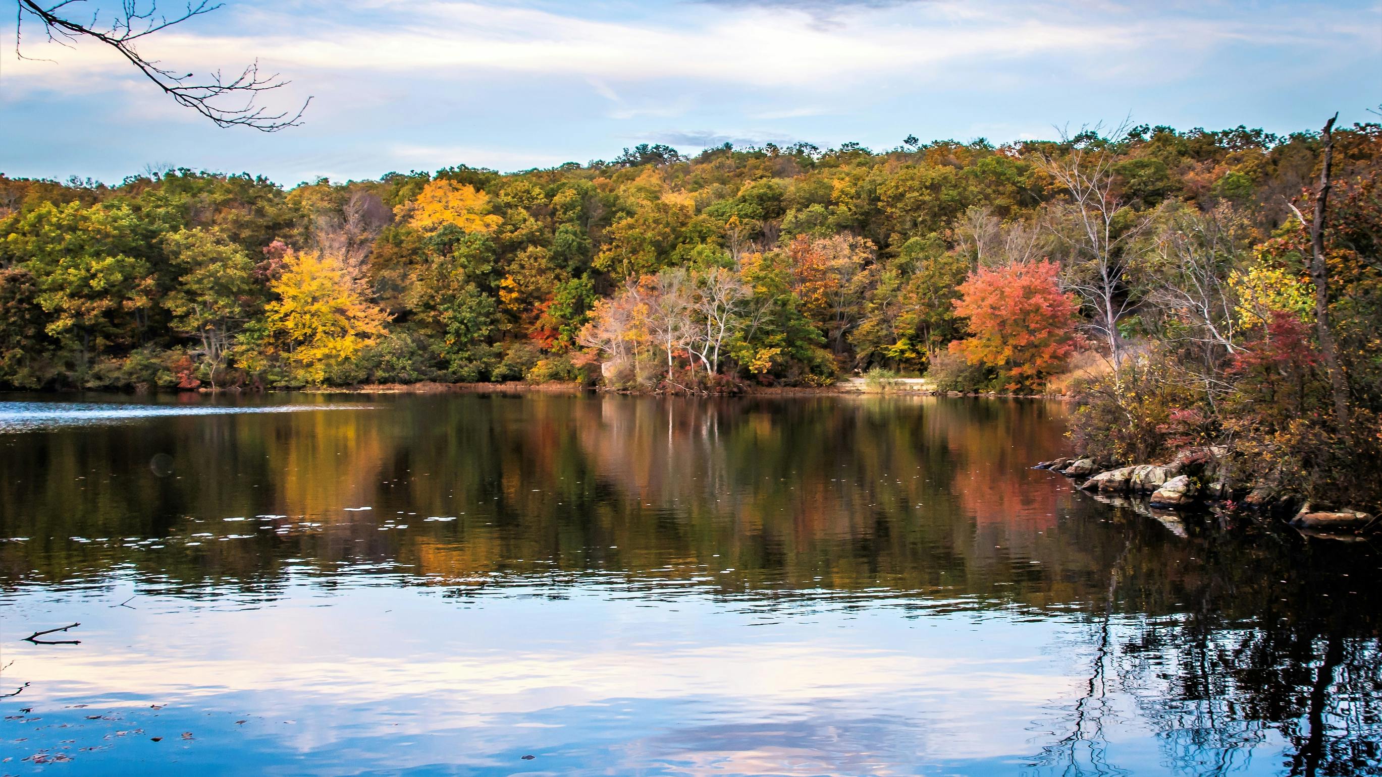 66a3f3959d62eac290ef76c6 Dreamstime L 121308467