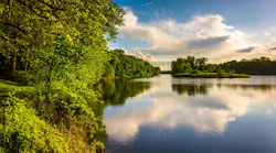 dreamstime_m_47649406