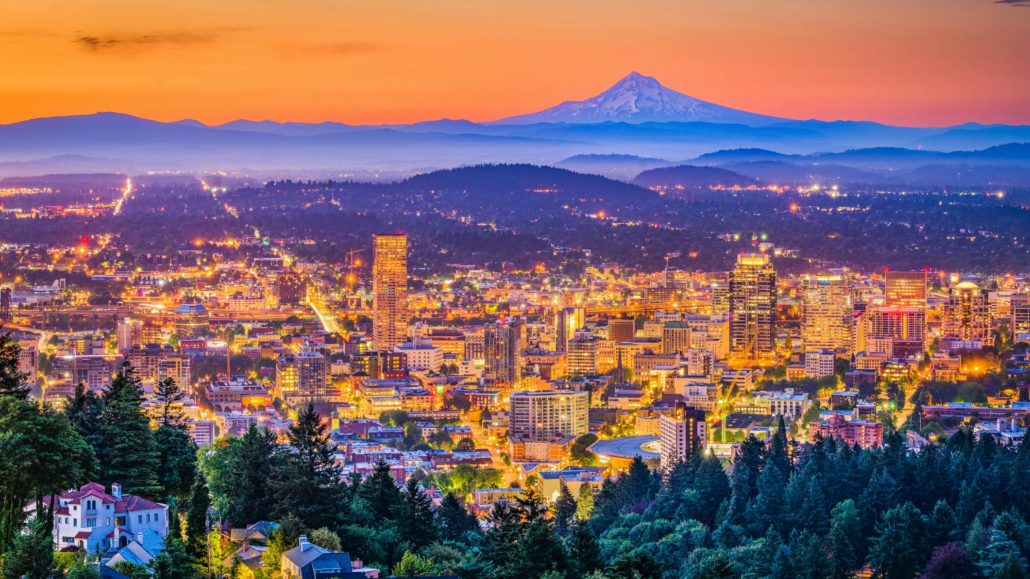 66bf8b2ca5a999342154452e Dreamstime M 123381114