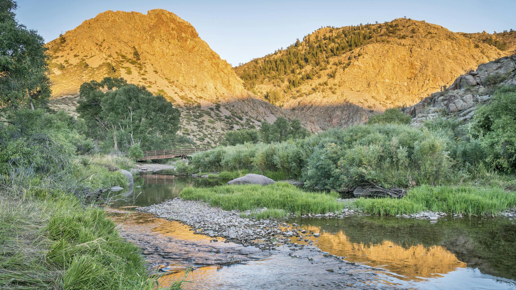 66c39f8507afd75204e801c0 Dreamstime M 77572640