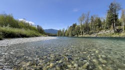 66e2063e9692b07069be2f12 Dreamstime M 318813630 66e2063e9692b07069be2f12 Dreamstime M 318813630