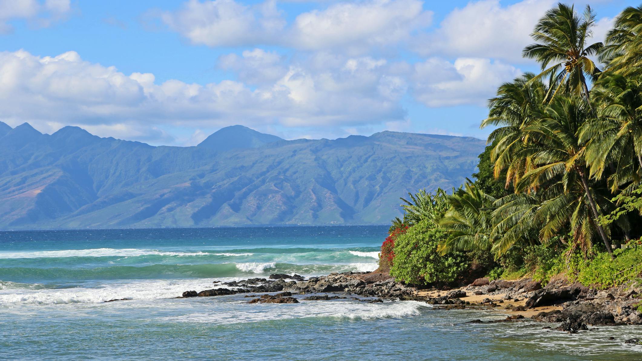 66f1be625647e7c9061aeb51 Dreamstime M 39795860