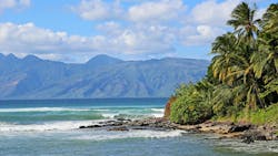 66f1be625647e7c9061aeb51 Dreamstime M 39795860 66f1be625647e7c9061aeb51 Dreamstime M 39795860