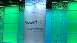 6703f972c511df21bf9daf3f Image 8 6703f972c511df21bf9daf3f Image 8