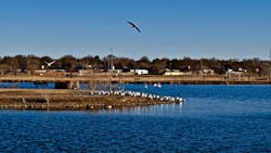 67181153740d50814a6527fb Dreamstime L 282806495 67181153740d50814a6527fb Dreamstime L 282806495