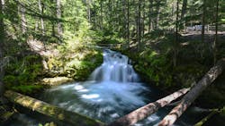 671bc2892f7b6caf07b6c152 Dreamstime M 42895754 671bc2892f7b6caf07b6c152 Dreamstime M 42895754