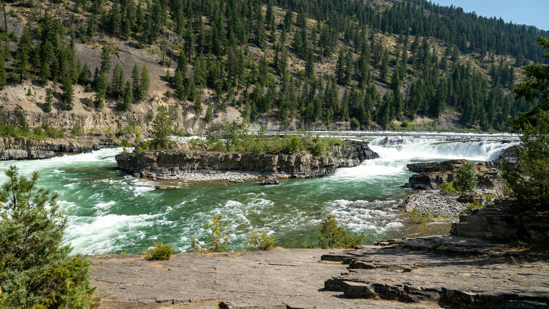 6729167d0d3c77cb23a57741 Dreamstime M 193511749