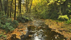 672ce457111f9e40d86677eb Dreamstime M 11651146 672ce457111f9e40d86677eb Dreamstime M 11651146