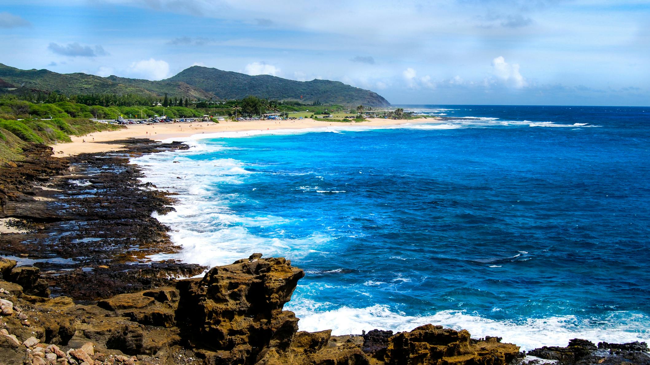 6737bb5678990044a5311738 Dreamstime M 335349950