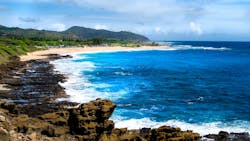 6737bb5678990044a5311738 Dreamstime M 335349950 6737bb5678990044a5311738 Dreamstime M 335349950