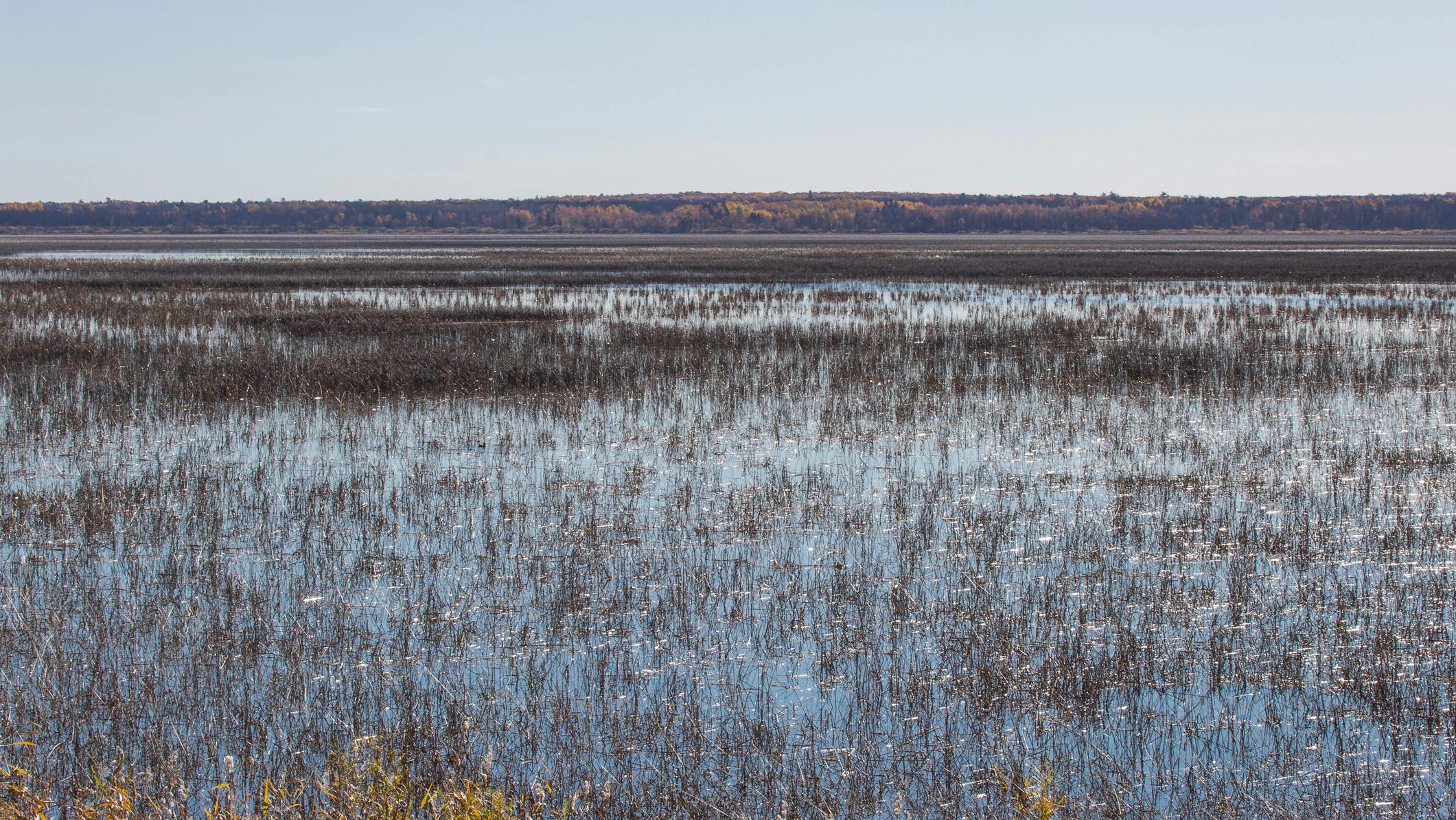 67576027ab25e9e8dae11c26 Dreamstime M 69862052