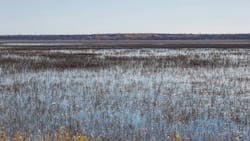 67576027ab25e9e8dae11c26 Dreamstime M 69862052 67576027ab25e9e8dae11c26 Dreamstime M 69862052