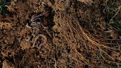 67632d021264f16861641295 Dreamstime M 110509677 67632d021264f16861641295 Dreamstime M 110509677