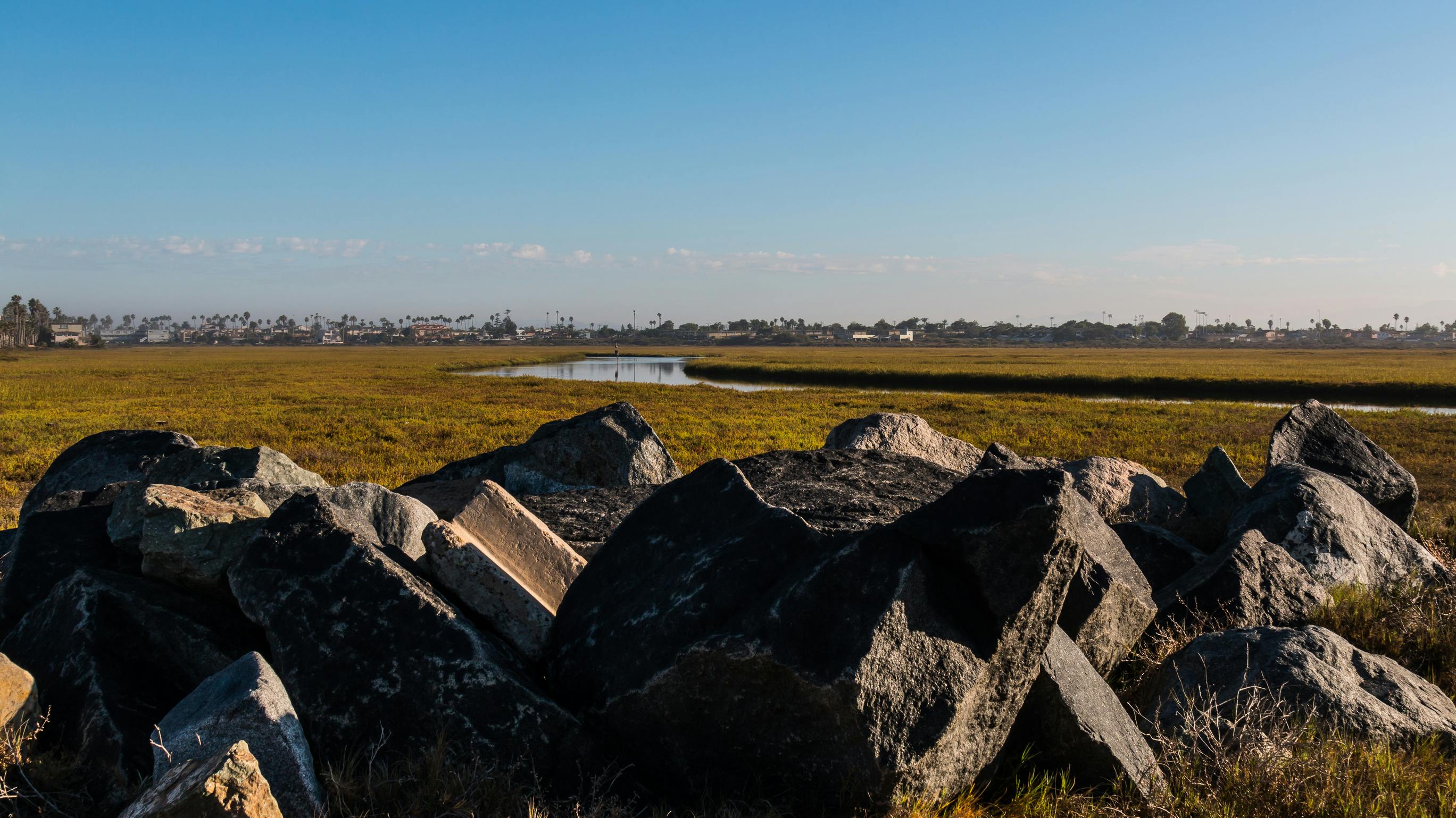 67648ba87c3069305e9d072b Dreamstime L 80587676