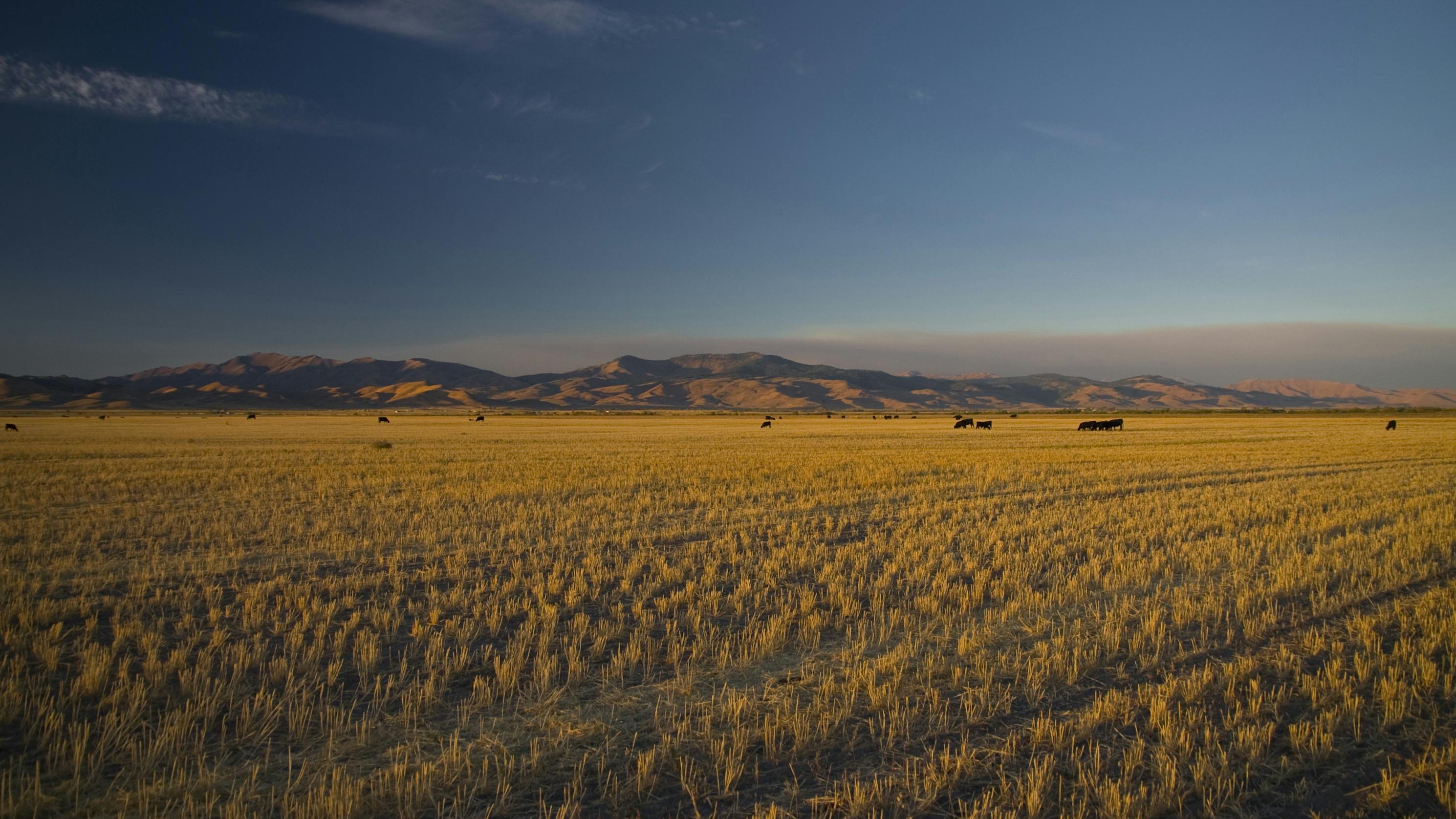 6765b038209b6e5d52f7d47a Dreamstime L 15033018