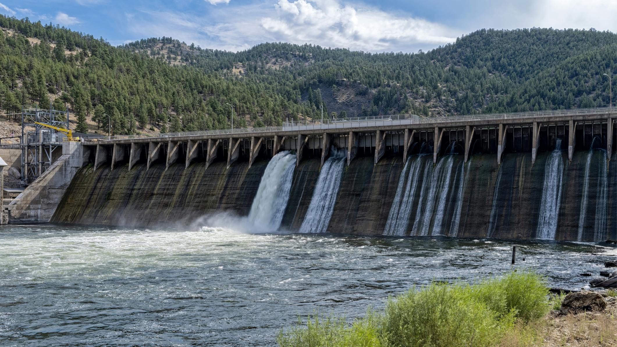 6774232335280fd27e161f82 Dreamstime M 351700605