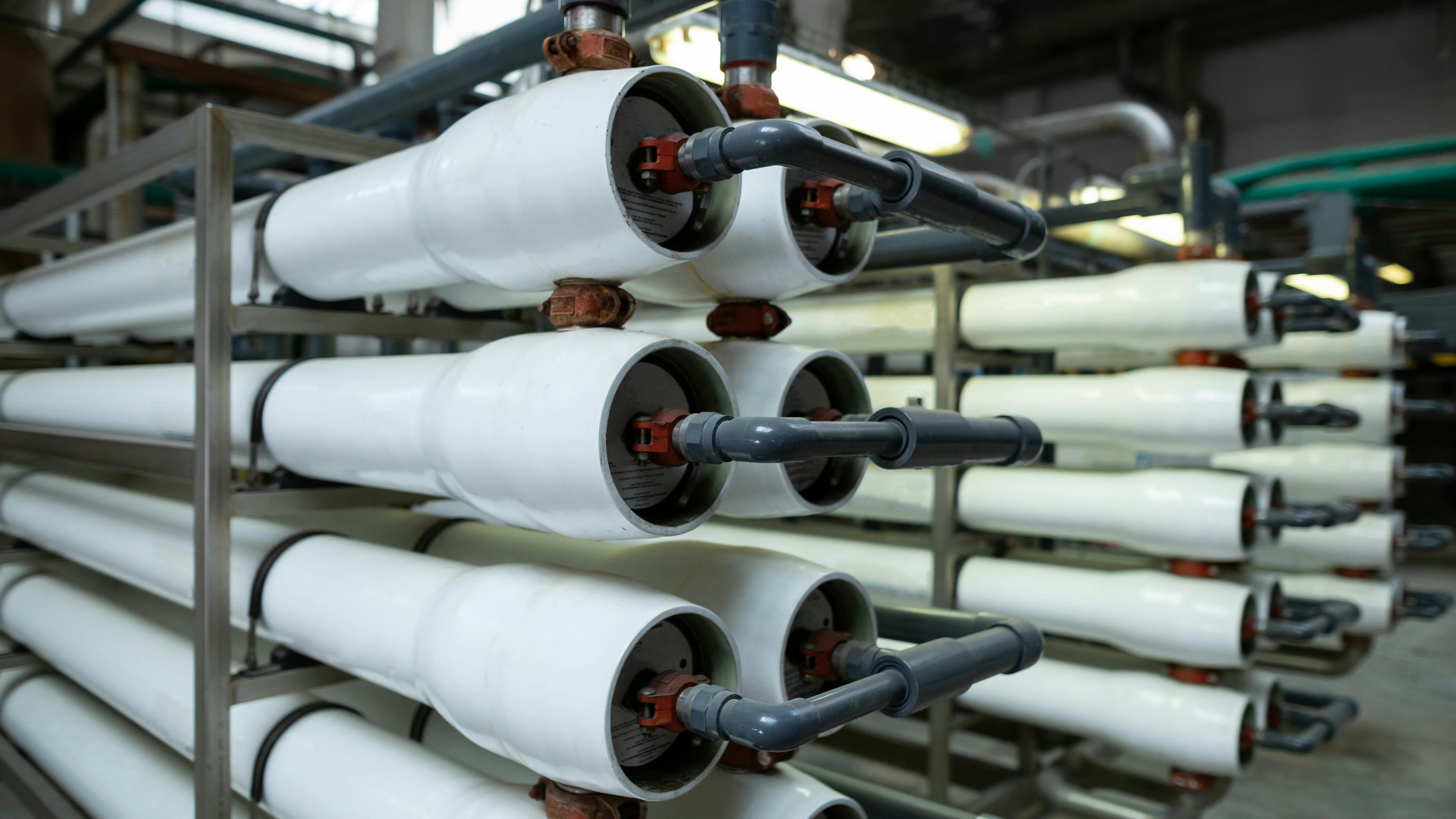 67781bce4437f301d359180e Dreamstime L 283460084