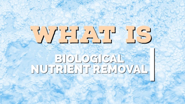 What is biological nutrient removal?
