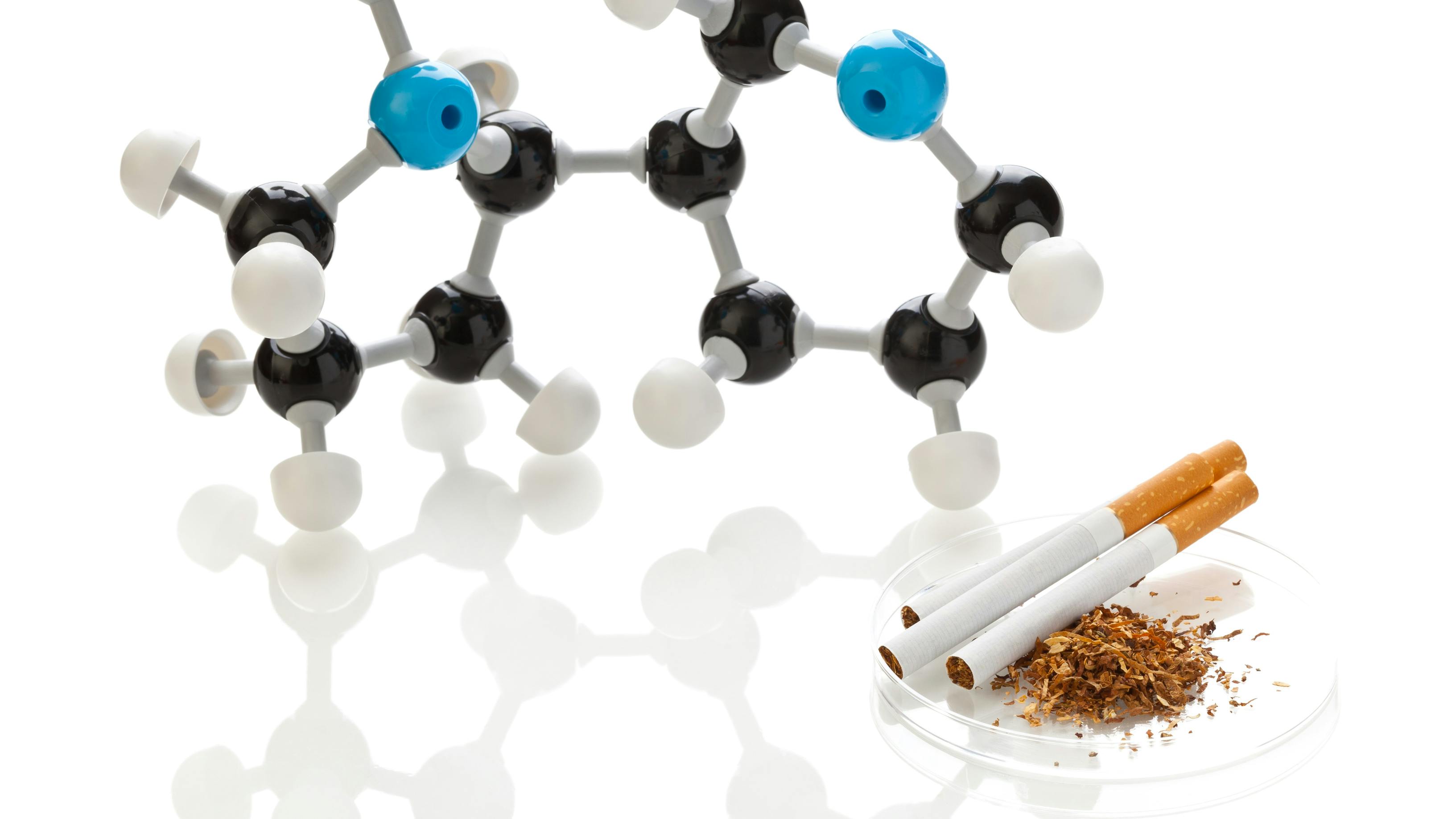 67abaf40a482a22d772d08ca Dreamstime Xl 22717908