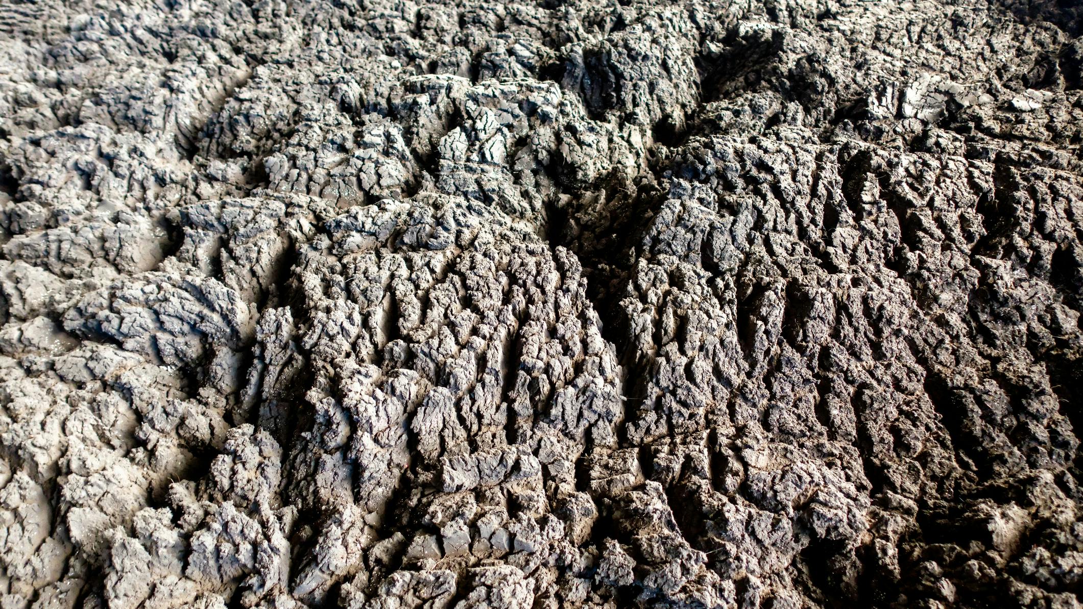 Biosolids sludge storage ready for farm land