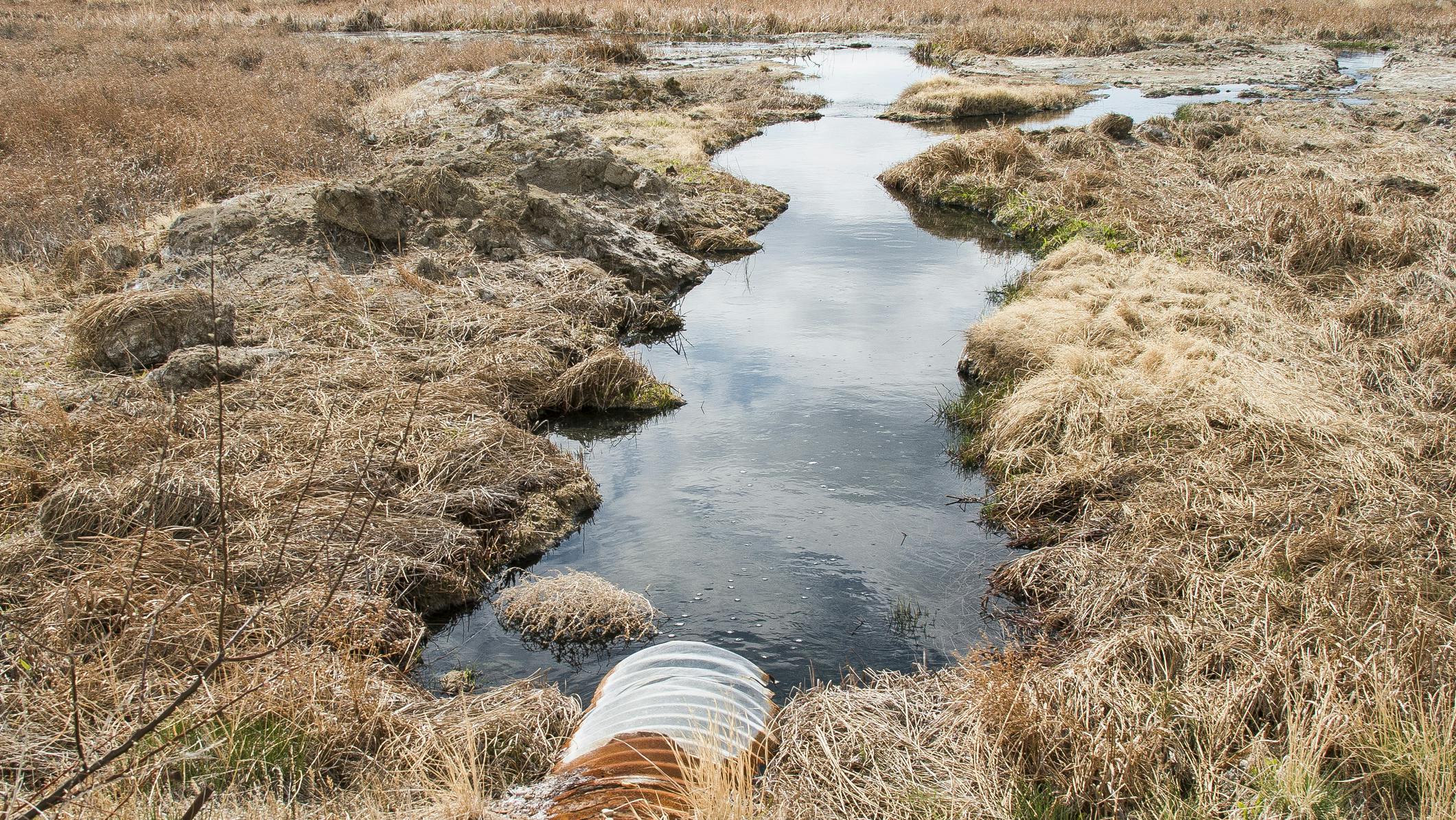 67d32088a3115a5030197f15 Dreamstime M 63614230