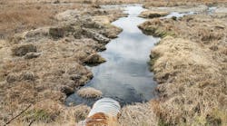 dreamstime_m_63614230 dreamstime_m_63614230