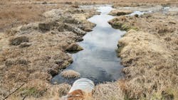 67d32088a3115a5030197f15 Dreamstime M 63614230 67d32088a3115a5030197f15 Dreamstime M 63614230