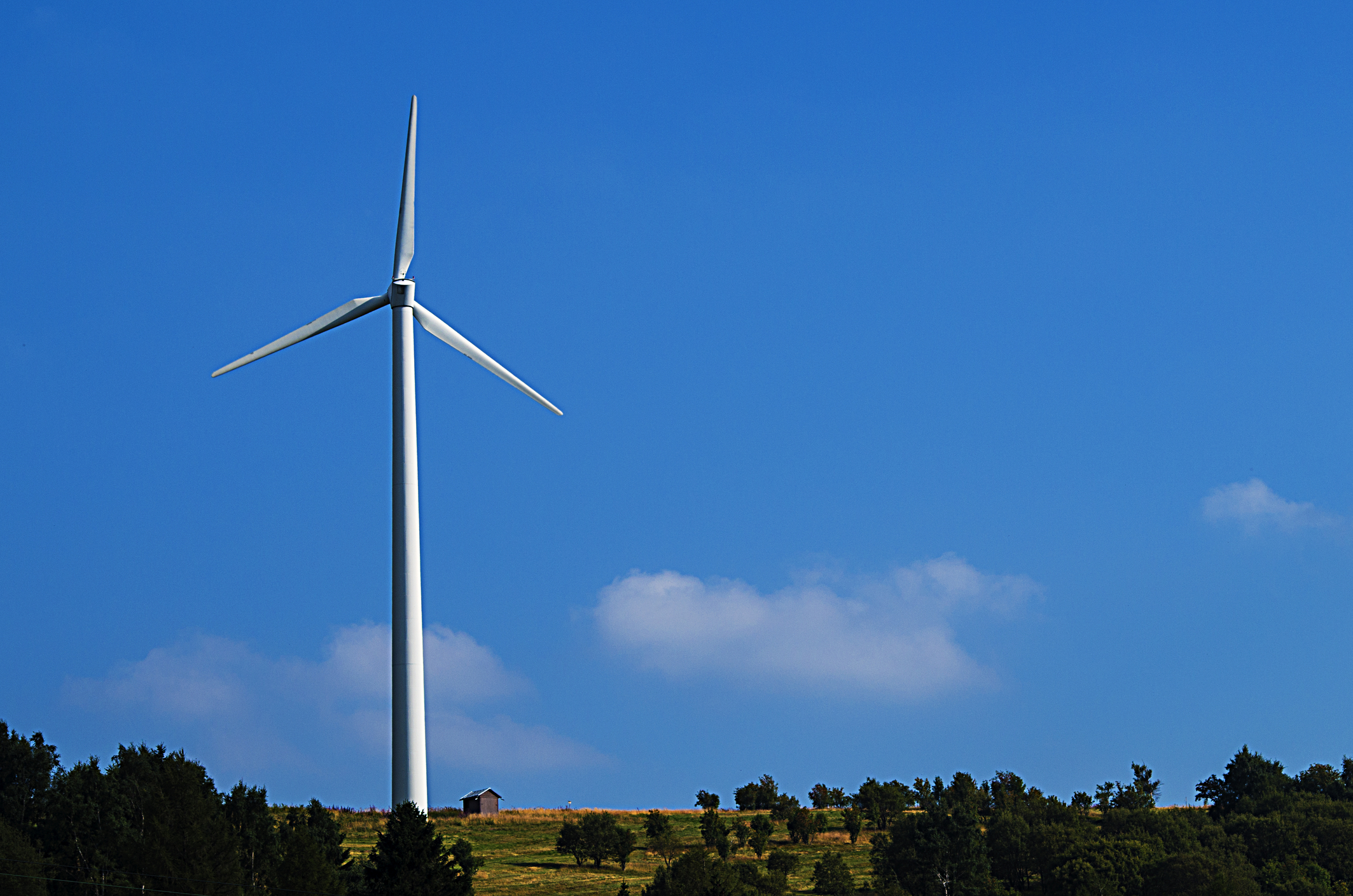 dreamstime_m_35775133