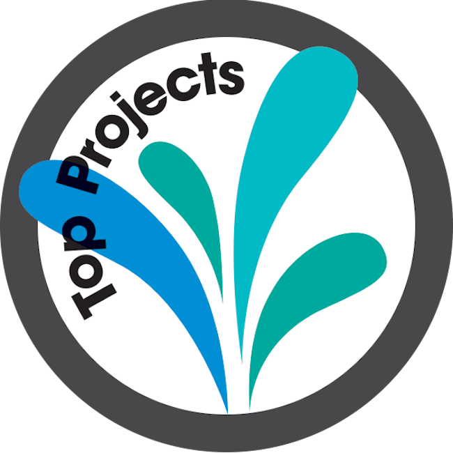 6818cd7a55f2c39241f5e430 Topprojectslogo Icon